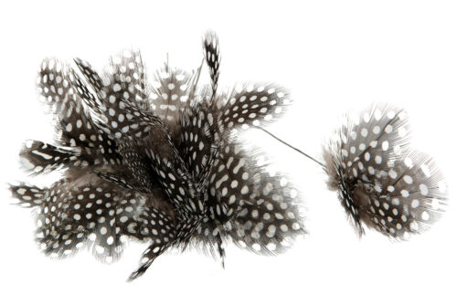 Fjäder Trådad Blom Pärlhöns 12st