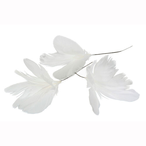 Fjädrar Vit 12-Pack