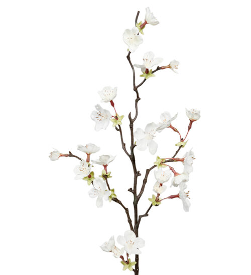 Körsbärsblom Vit 60cm