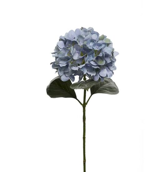 Hortensia 65 cm blå