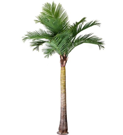 Palm 370 cm