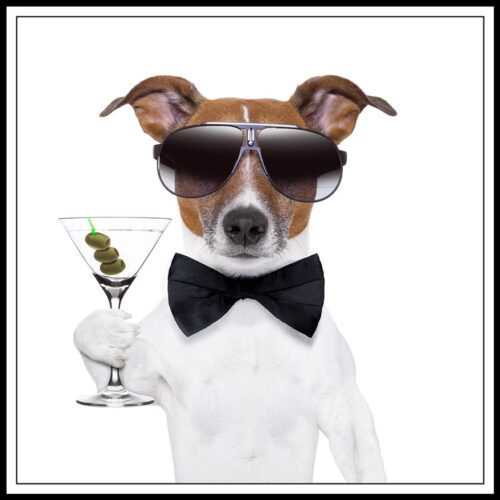 Tavla Hund med en dry martini 30x30 cm