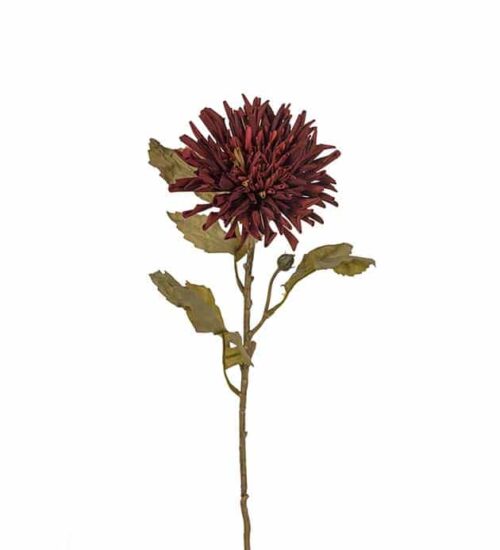 Chrysanthemum burgundy 60cm
