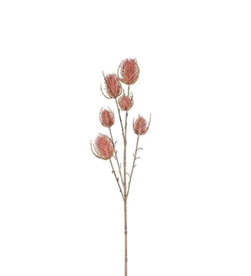 Tistel rosa 65cm