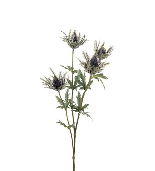 Tistel blå 75cm
