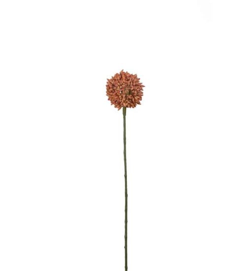 Allium 48 cm orange