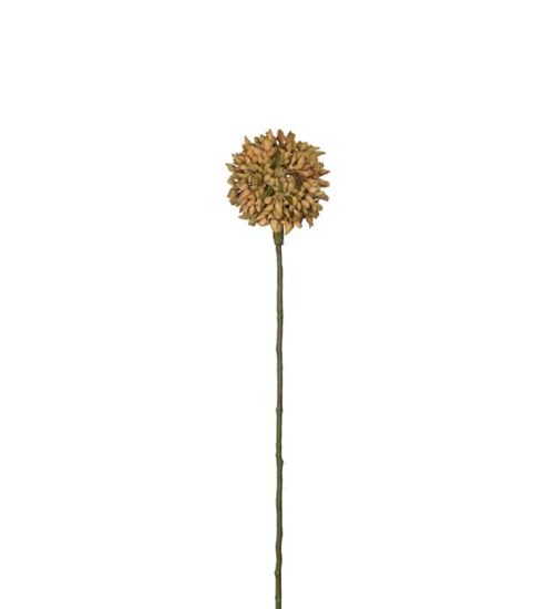 Allium 45 cm gul