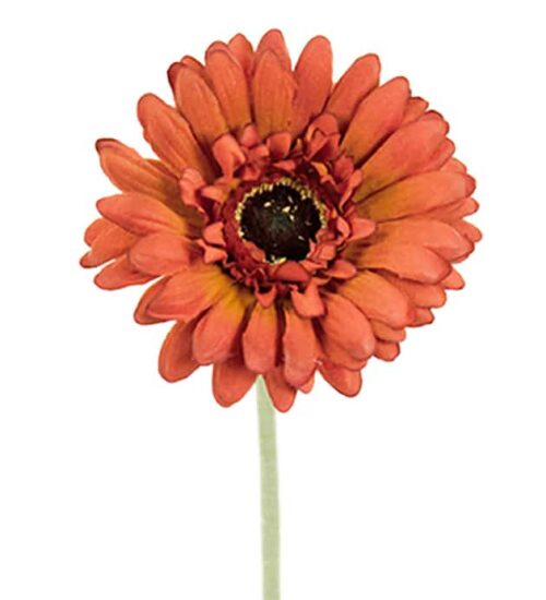 Gerbera 55 cm brun