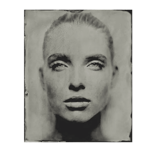 Cobra Art Tavla Gazing still Plexiglas