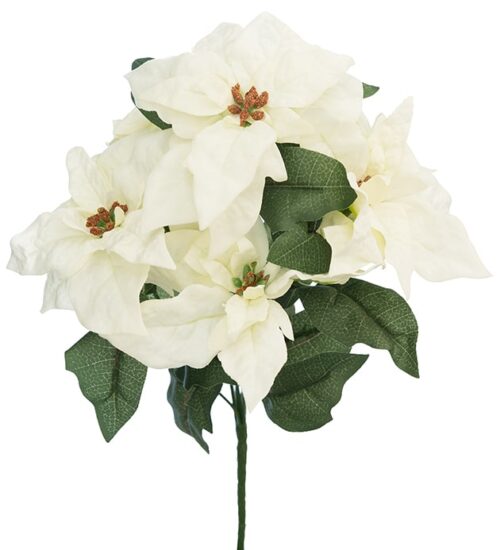 Julstjärna bukett 35 cm vit