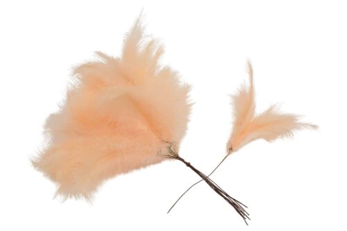 Fjäder Trådad Vippa Aprikos 12st
