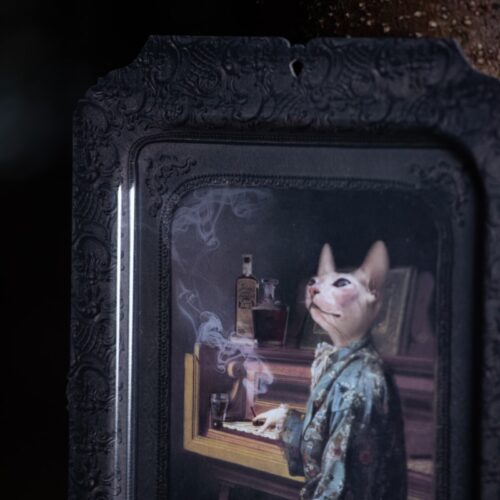 Ibride Bricka Lazy Victoire s