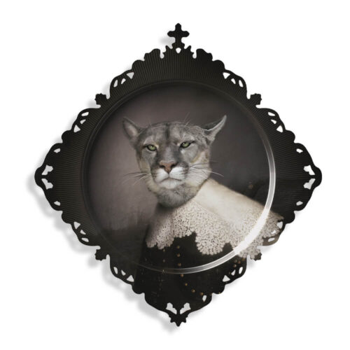 Ibride Bricka Medicis Urbin