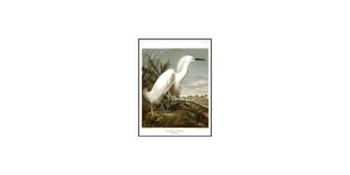 THE DYBDAHL CO Tavla Snowy Heron 50x70cm Svart ram