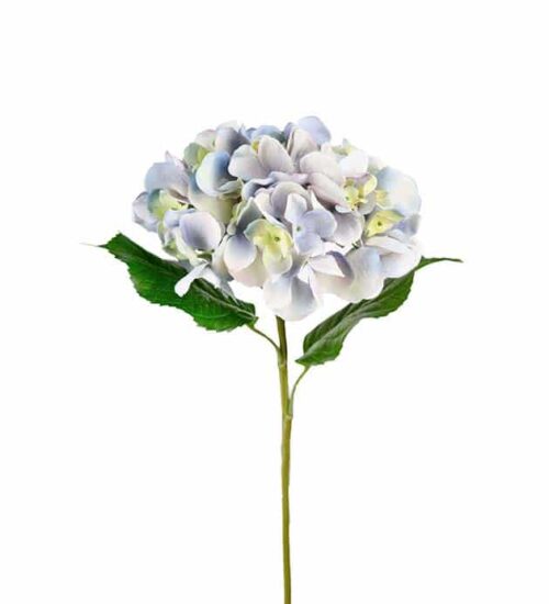Hortensia 55 cm Blå
