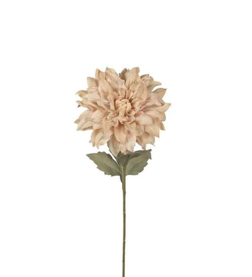 Dahlia 60 cm Beige