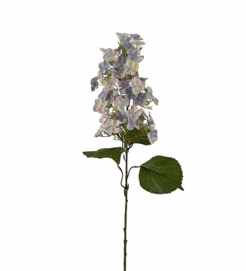 Syrénhortensia 80cm Blå