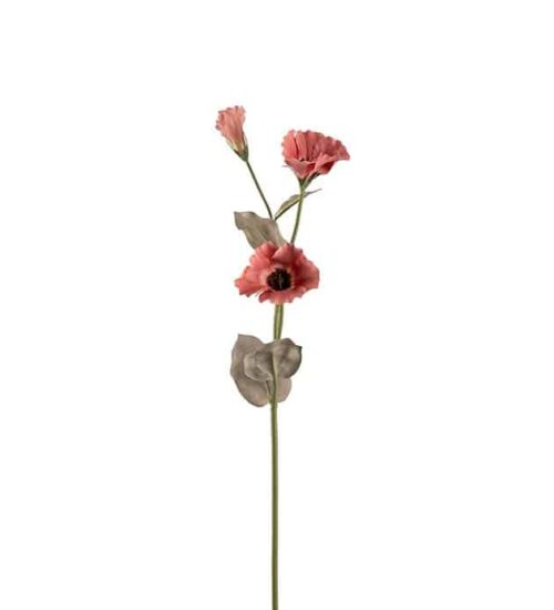 Prärieklocka 60cm Brun