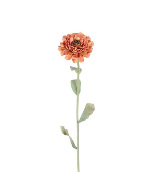 Zinnia Orange 58cm