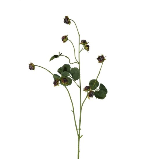 Björnbärskvist Svart 95cm