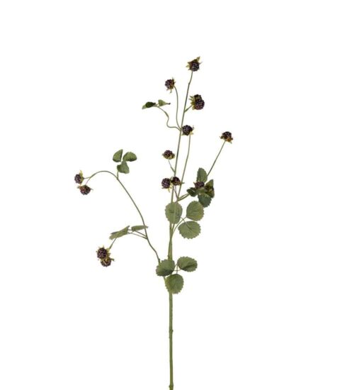 Björnbärskvist Svart 115cm