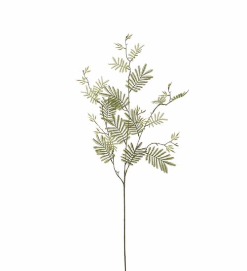 Mimosakvist Grön 110cm