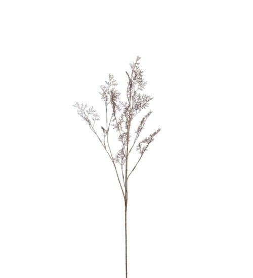 Limoniumkvist Brun 100cm