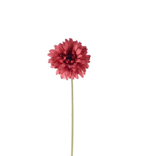 Gerbera Röd 55cm