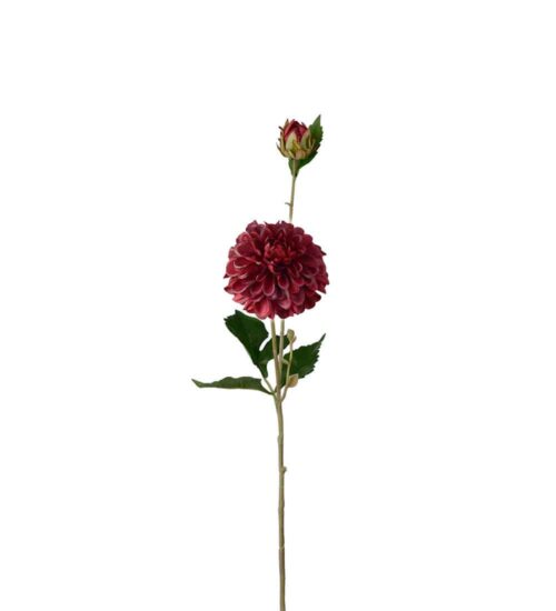 Dahlia Burgundy 66cm