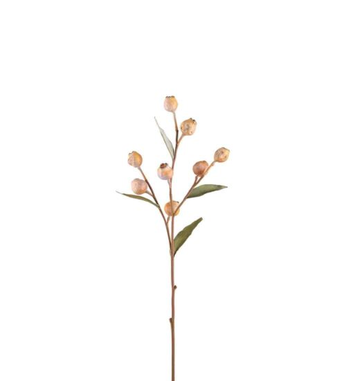 Eucalyptuskvist Med Bär Beige 65cm