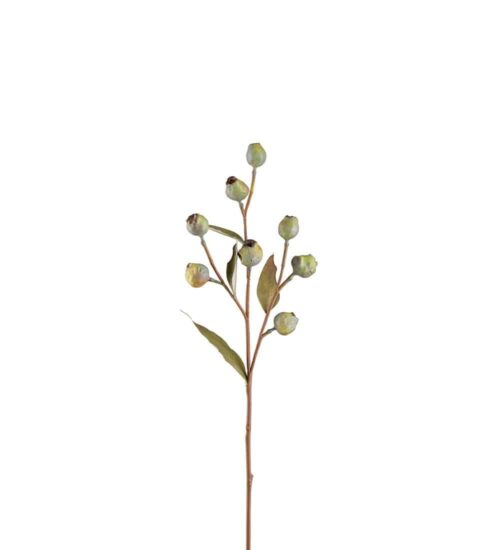 Eucalyptuskvist Med Bär Grön 65cm