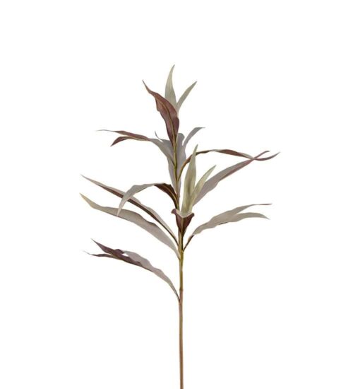 Grevilleakvist Grå 85cm