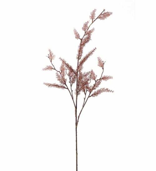 Eucalyptus Brun 95cm