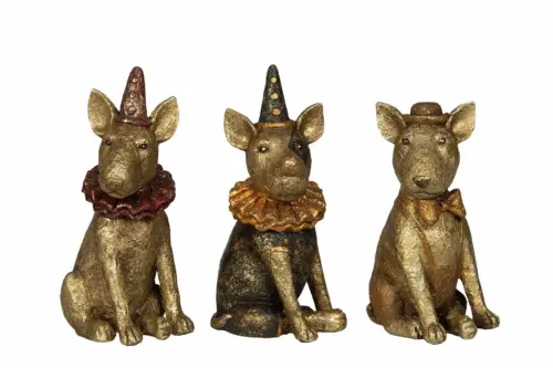 Hund Cirkus Poly Mix 1st