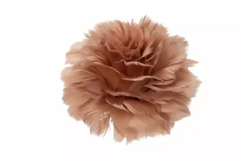 Fjäderblomma Med Clip Mullvad