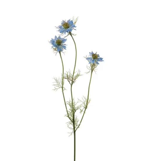 Nigella Blå 60cm