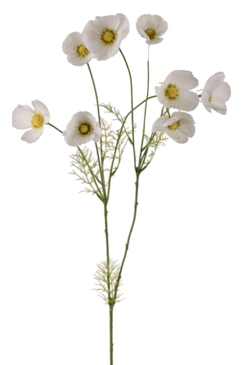 Rosenskära Vit 100cm