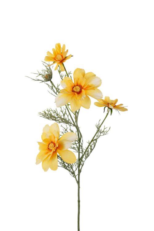 Rosenskära Gul 65cm