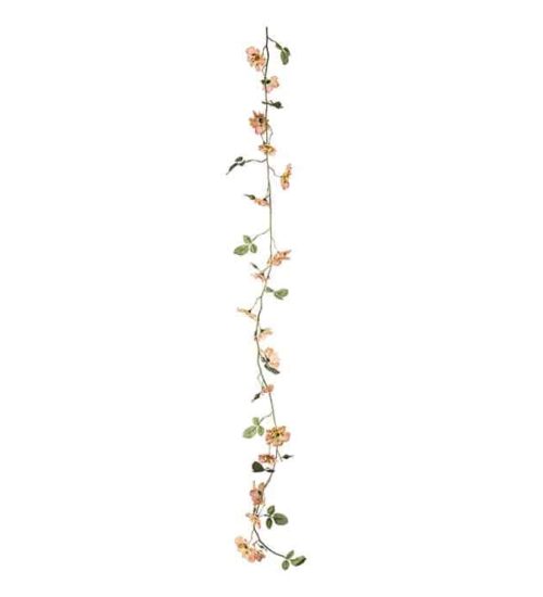 Japansk klätterros girlang aprikos 125cm