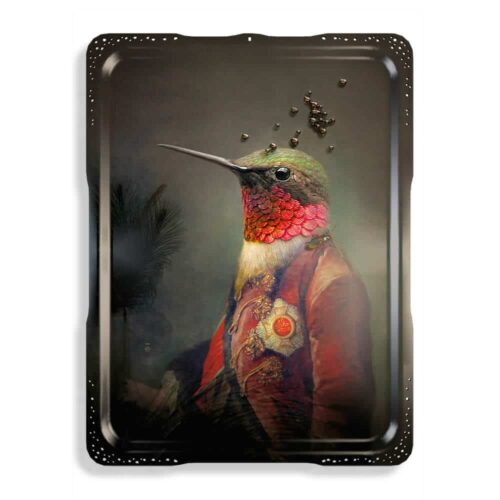 Ibride Bricka Les Majestueux Ambroise Xl