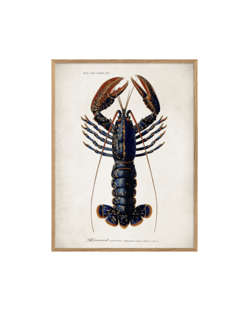 The Dybdahl Company Lobster