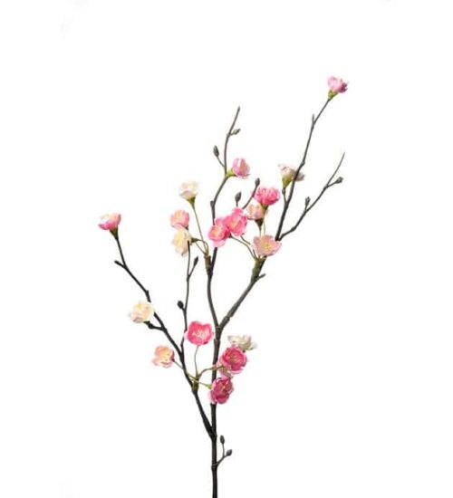 Blomkvist 50 cm Rosa