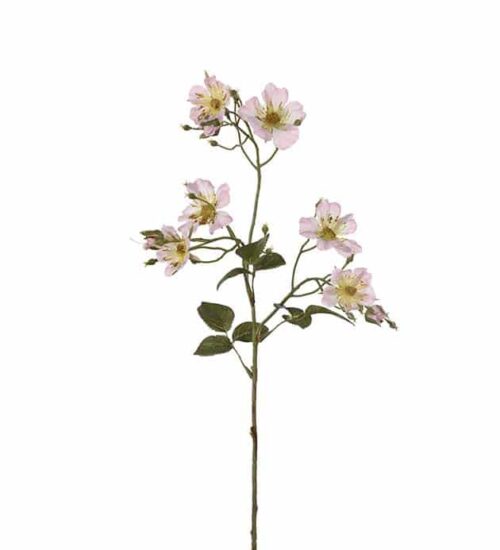 Japansk klätterros 35 cm Rosa