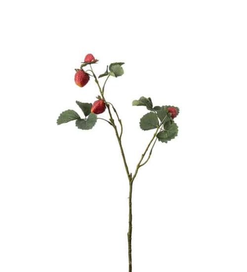 Jordgubbskvist 50 cm Röd