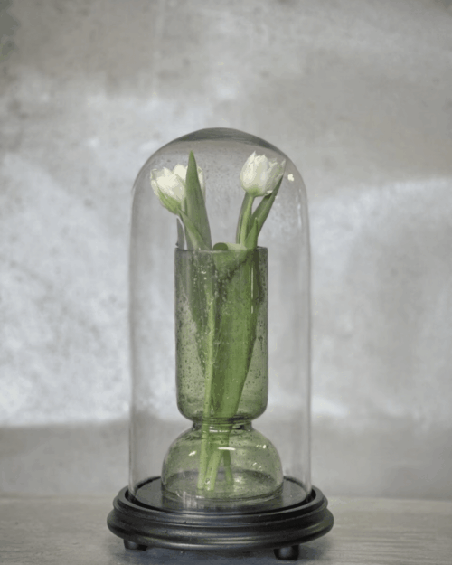 Noori VALLON mellan rund glaskupol med svart bas