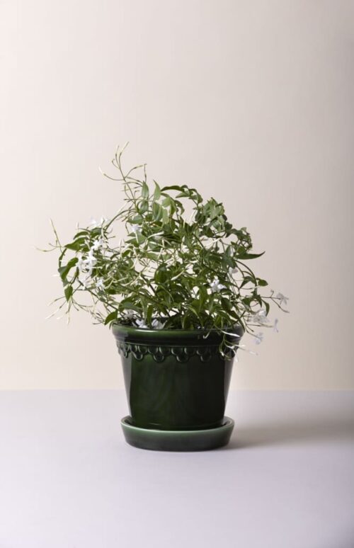 Bergs Potter Copenhagen Kruka – Grön 18 cm