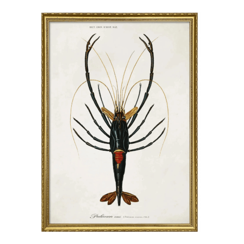 The Dybdahl Company Tavla Crayfish