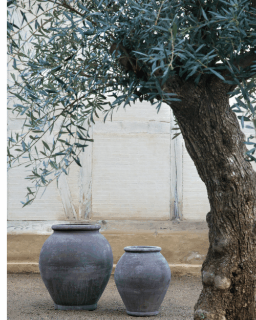 Bergs Potter Urna Olivia Grå Terracotta ø86cm