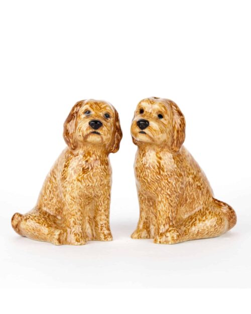 Cockapoo salt och peppar