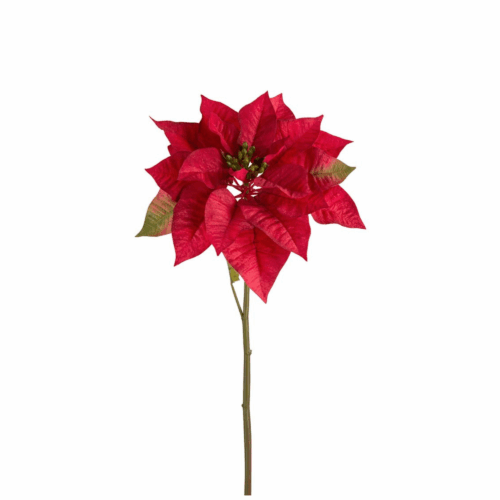 Julstjärna 70 cm Röd